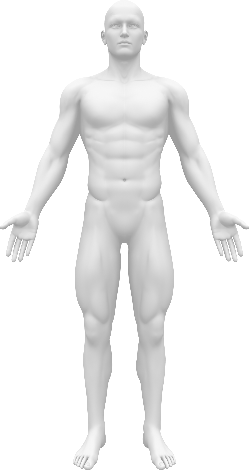 human_body_front